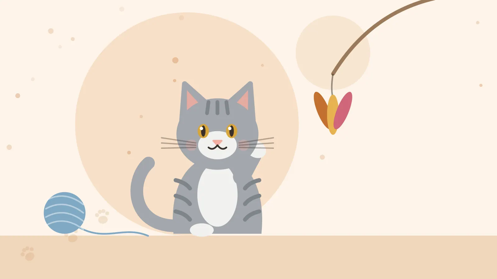 چرا بازی کردن برای گربه مهم است؟
